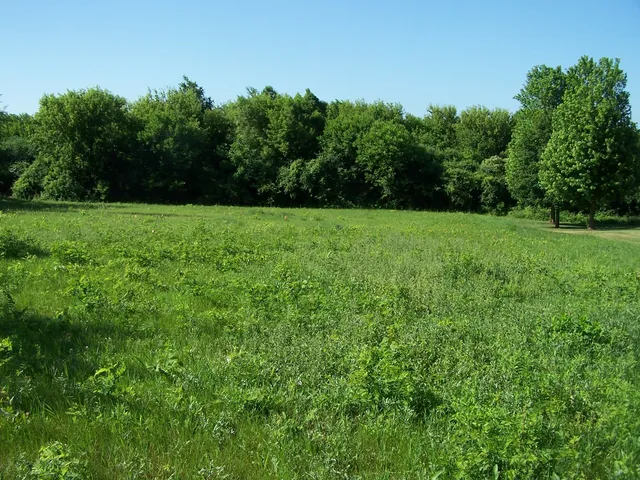 $48,000 | 6109 Whiting Drive, McHenry, IL 60050