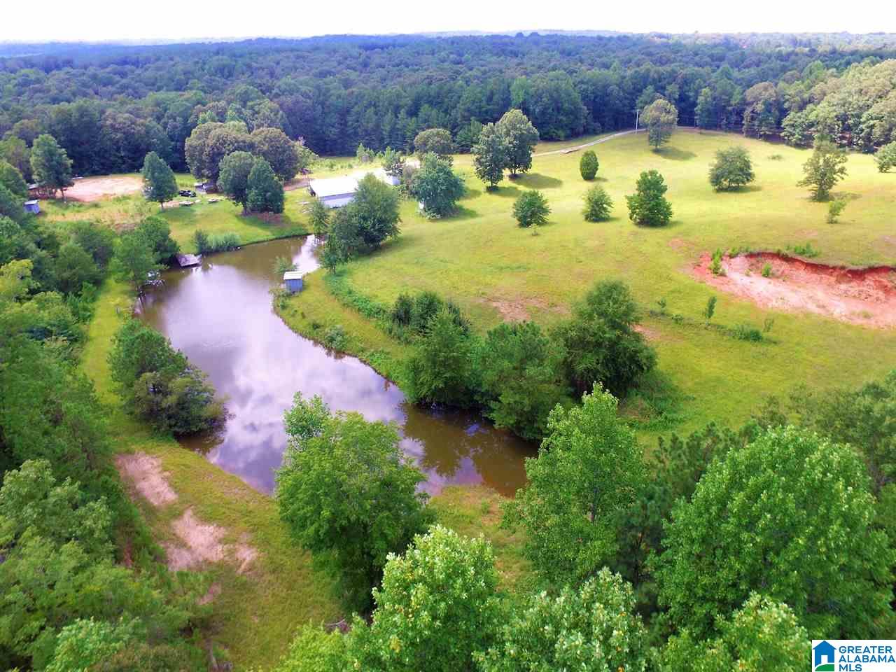 950 County Road 478, Unit 1 Clanton, AL 35046 - Photo 4 of 31