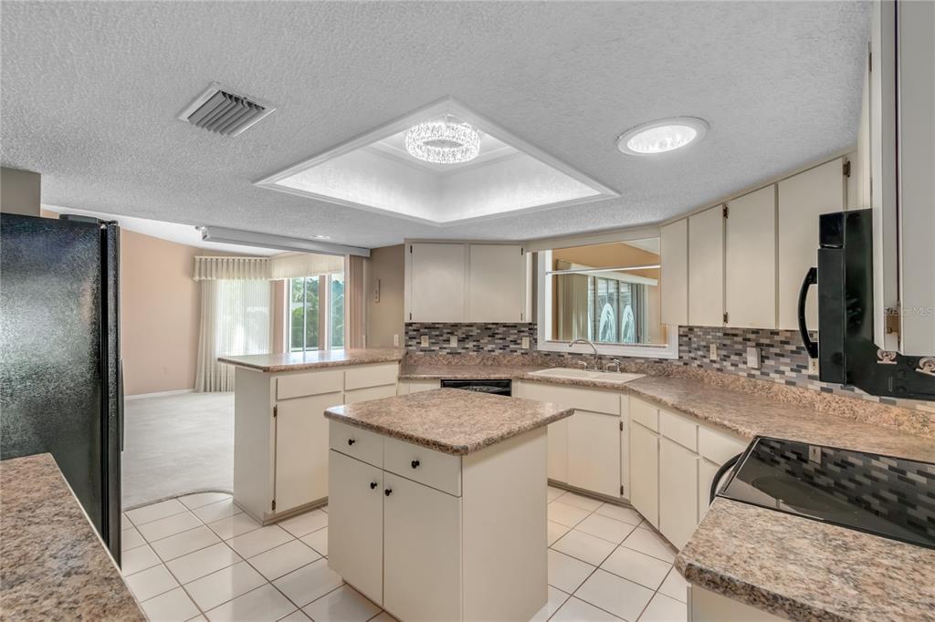 8156 Southwest 108th Ln Road Ocala, FL 34481 - Photo 8 of 50 a kitchen with granite countertop a sink stove and refrigerator
