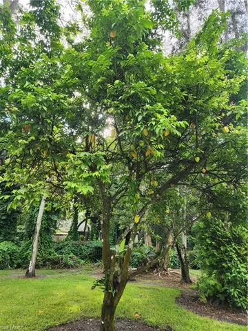 $3,745 | 5930 Spanish Oaks Lane, Naples, FL 34119