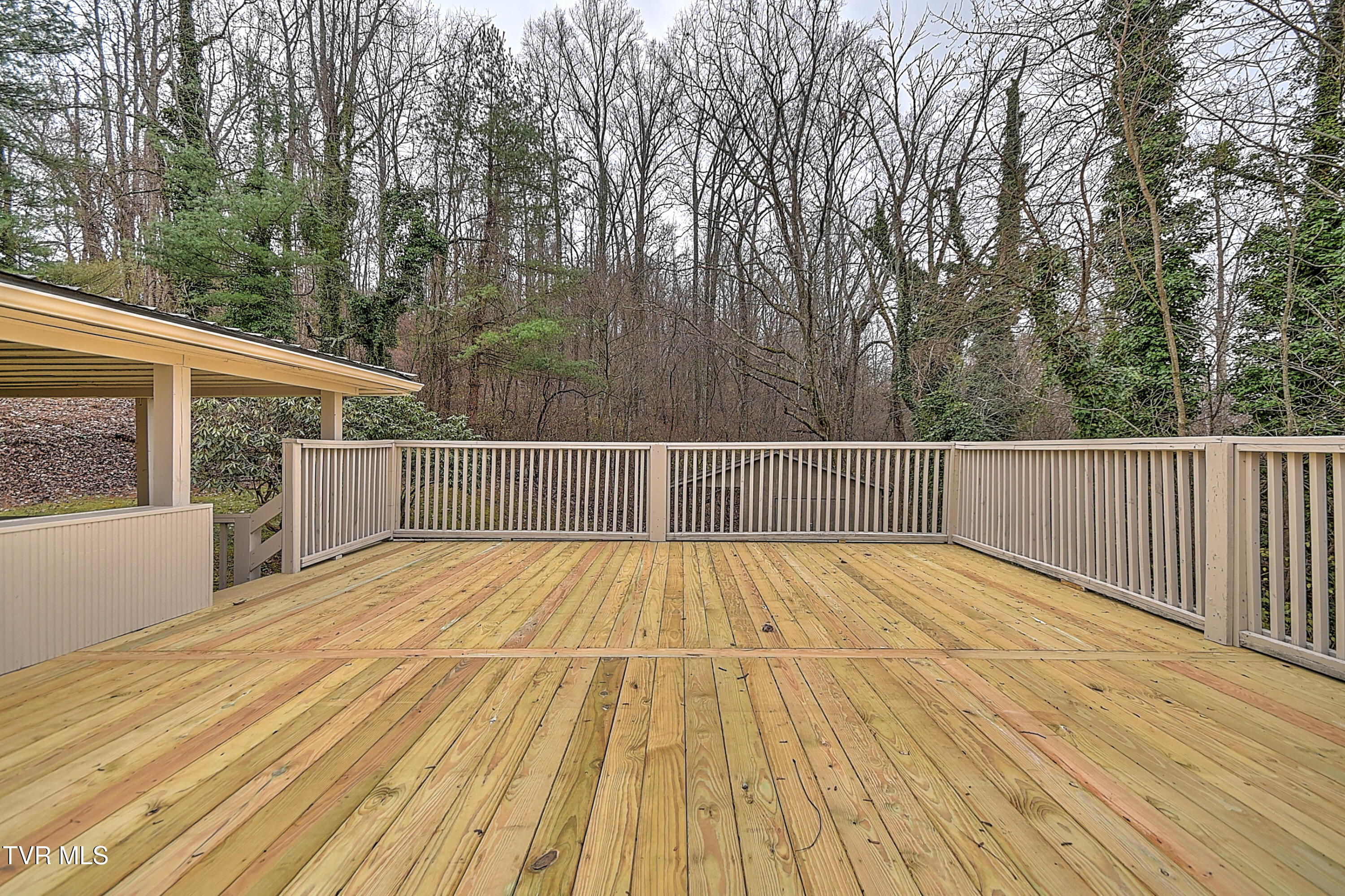 331 Edgefield Road Piney Flats, TN 37686 - Photo 59 of 76 331 Edgefield KB-64