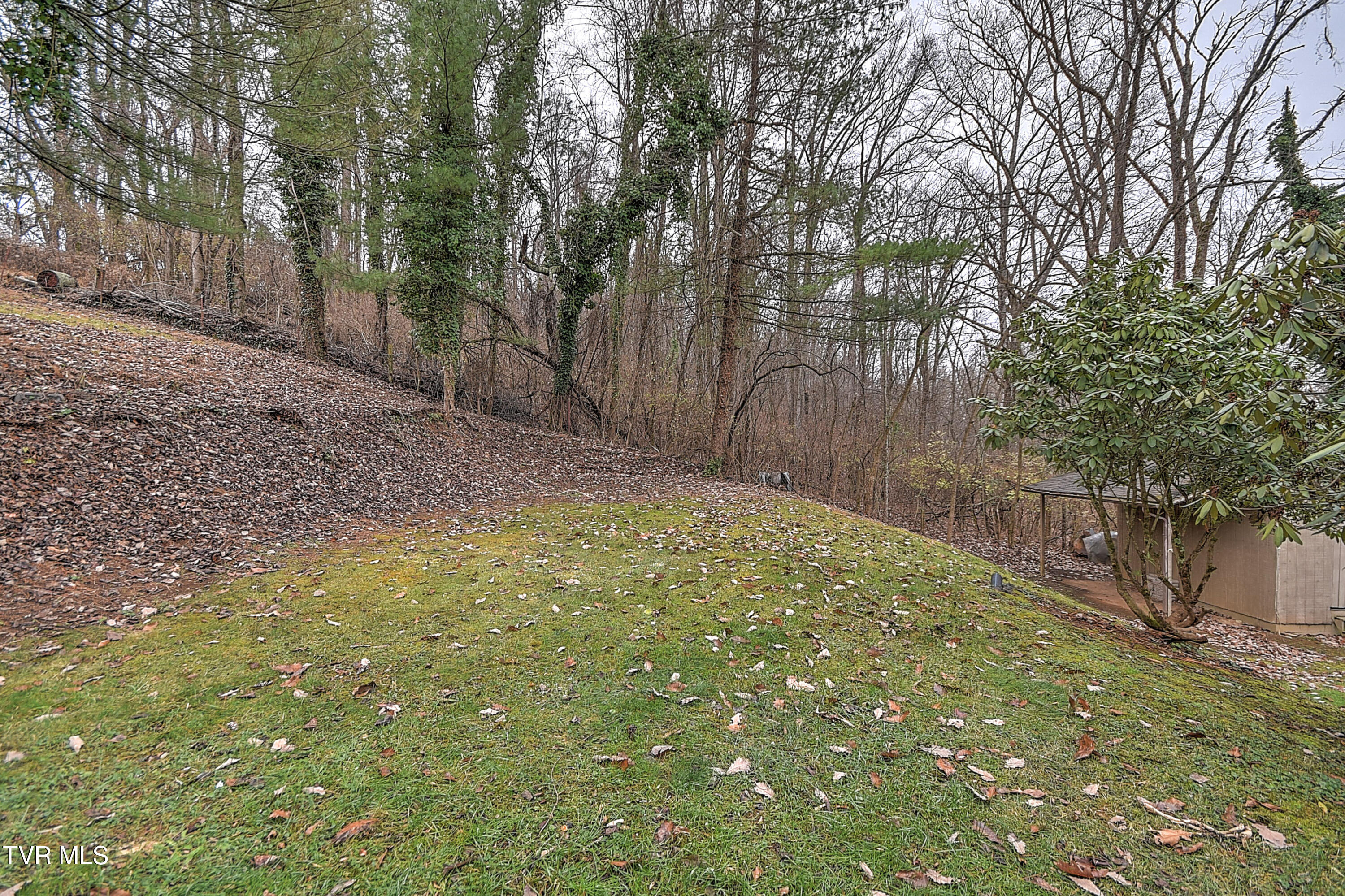 331 Edgefield Road Piney Flats, TN 37686 - Photo 63 of 76 331 Edgefield KB-65