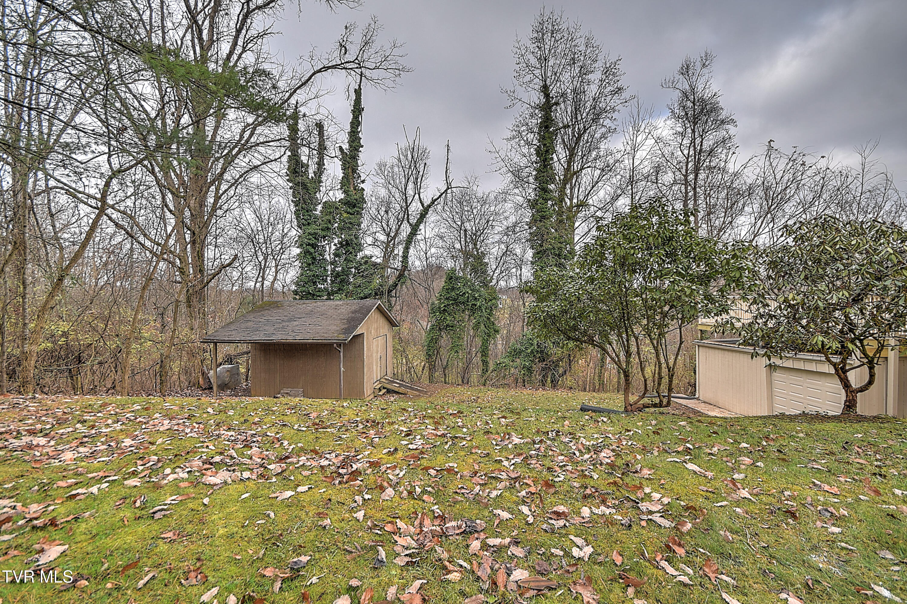 331 Edgefield Road Piney Flats, TN 37686 - Photo 65 of 76 331 Edgefield KB-66