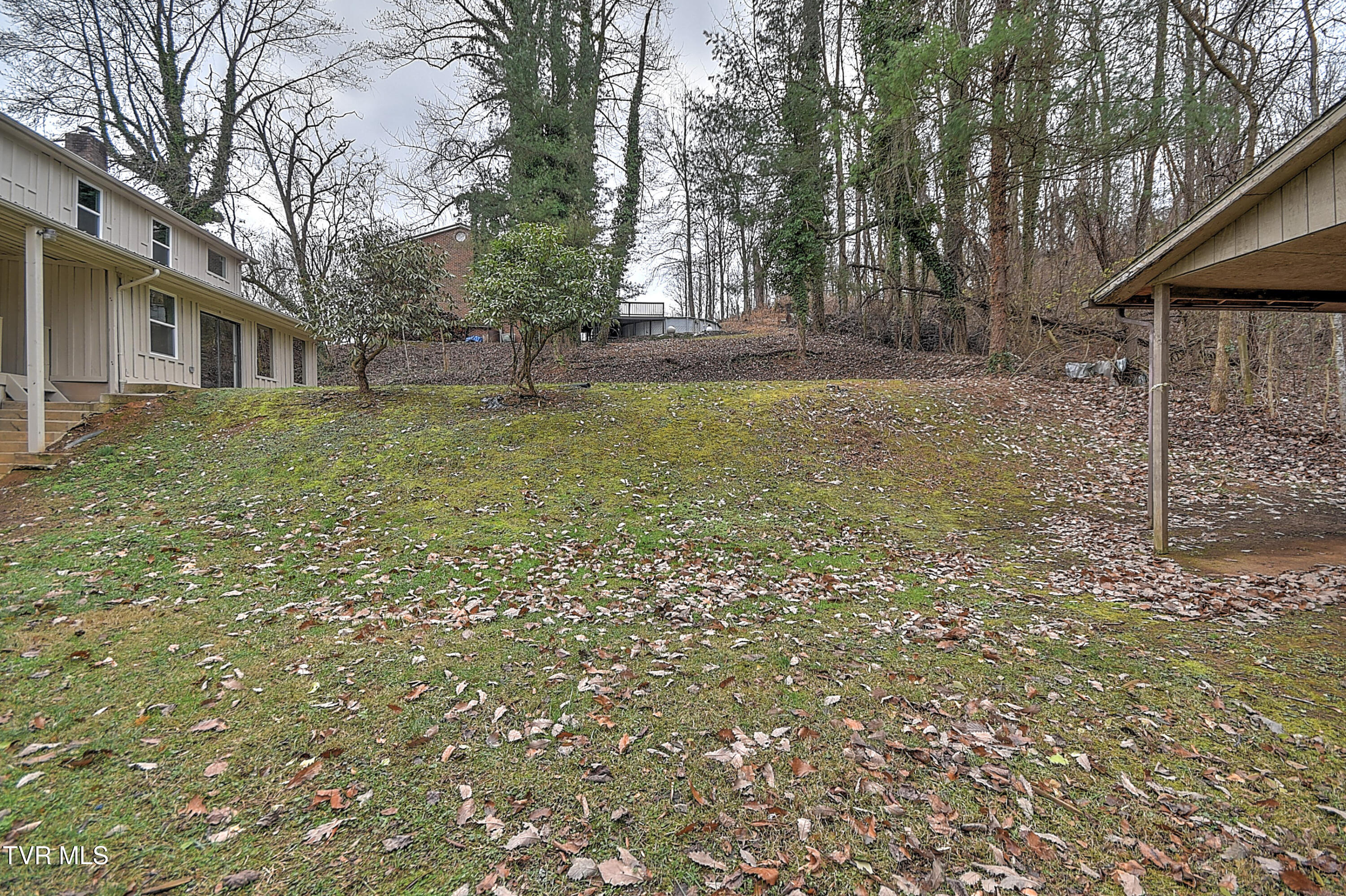 331 Edgefield Road Piney Flats, TN 37686 - Photo 71 of 76 331 Edgefield KB-74