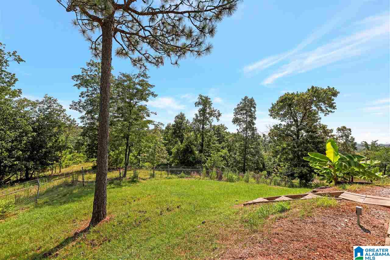 335 Arabian Road Columbiana, AL 35051 - Photo 18 of 28