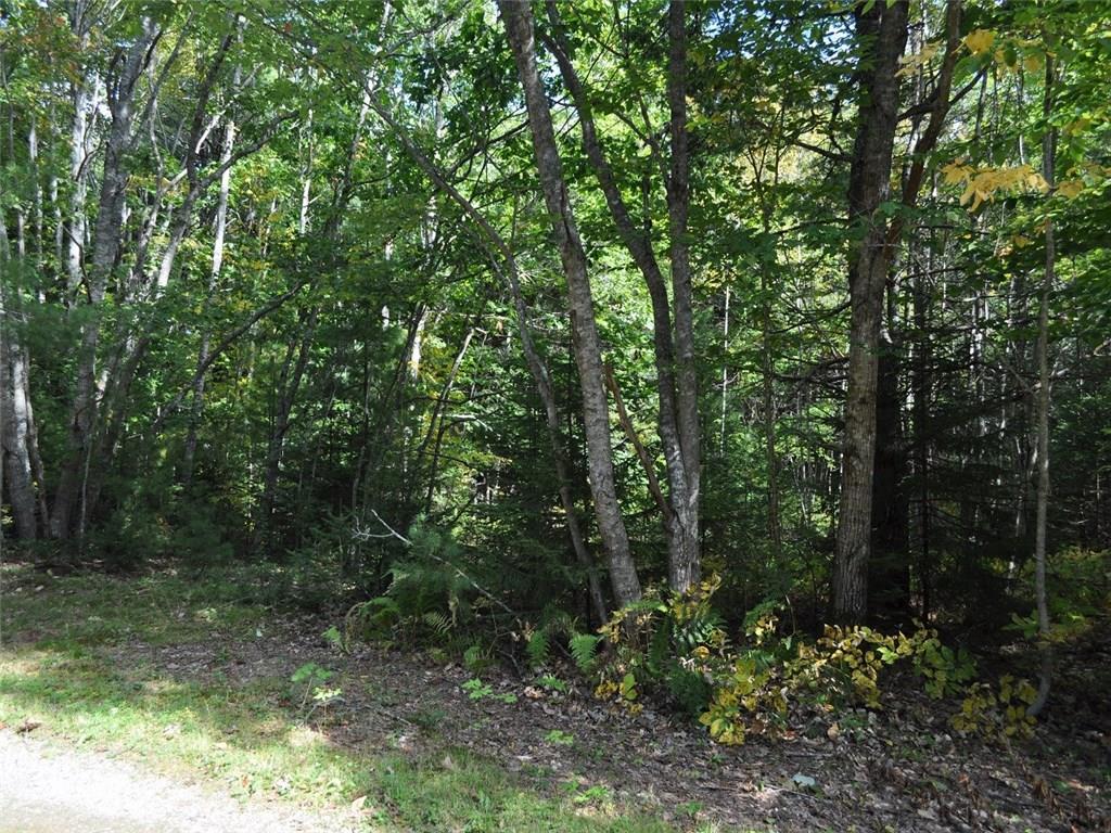 101 H Riverview Road Bristol, ME 04558 - Photo 2 of 4 Level wooded lot.