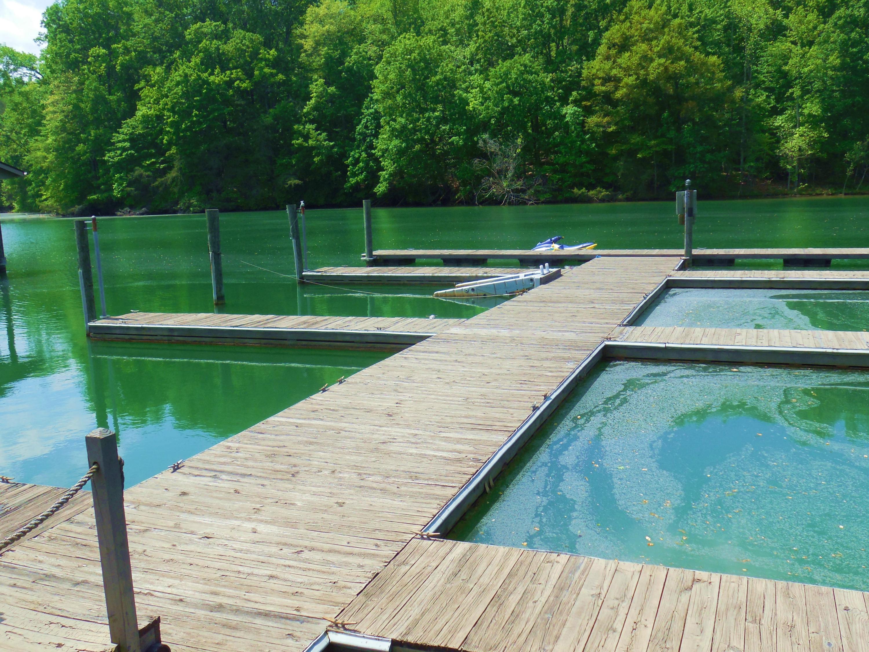 610 Monte Vista Road, Unit 705 Union Hall, VA 24176 - Photo 54 of 74 a view of swimming pool with a yard