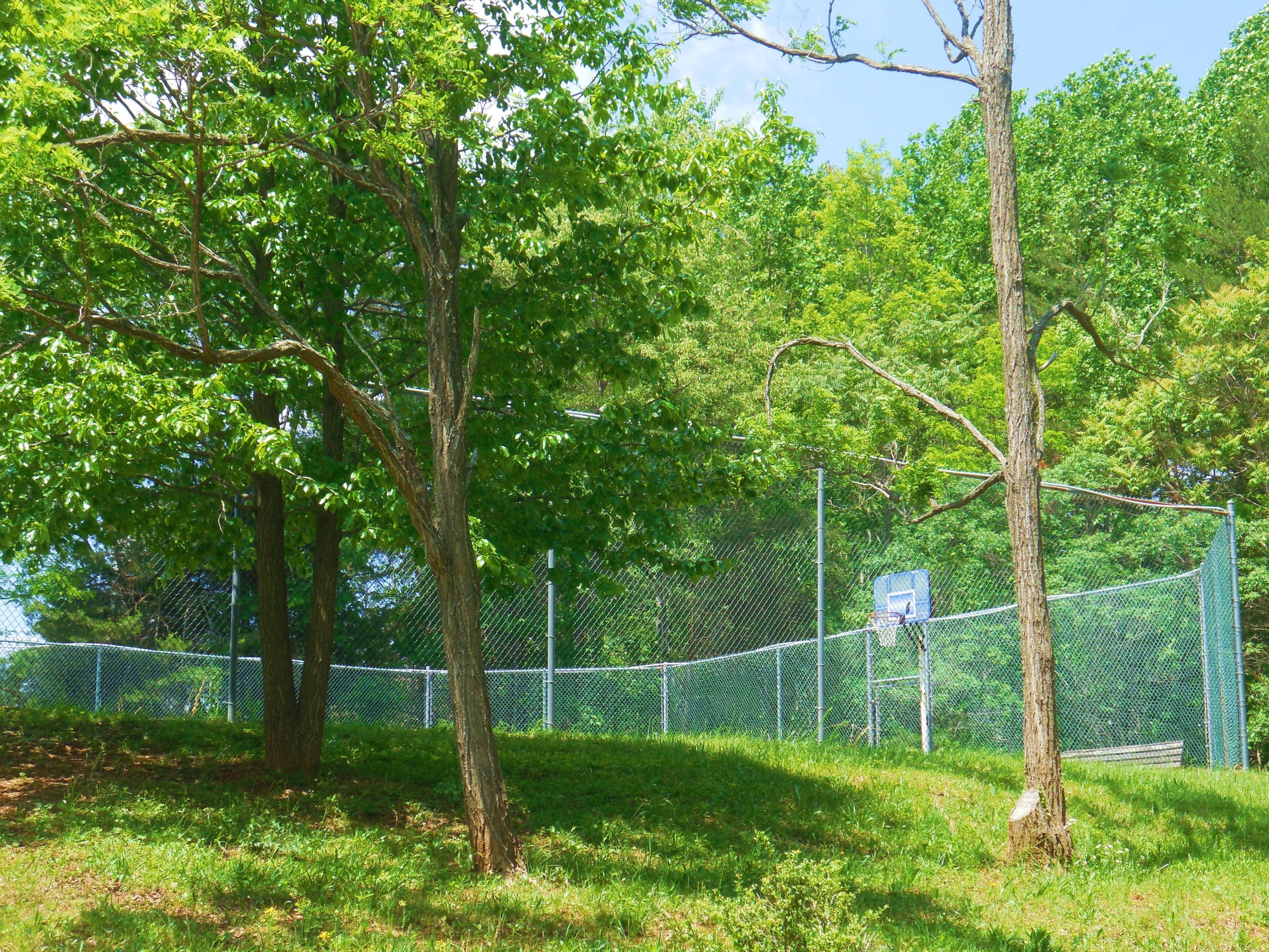 610 Monte Vista Road, Unit 705 Union Hall, VA 24176 - Photo 67 of 74 Tennis & Basketball....