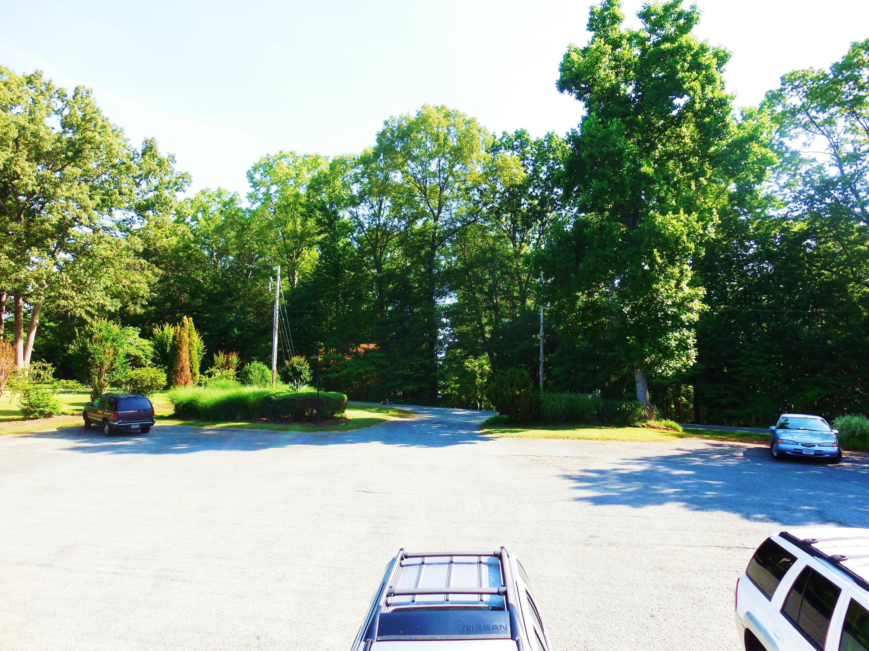610 Monte Vista Road, Unit 705 Union Hall, VA 24176 - Photo 72 of 74 a view of park with large trees