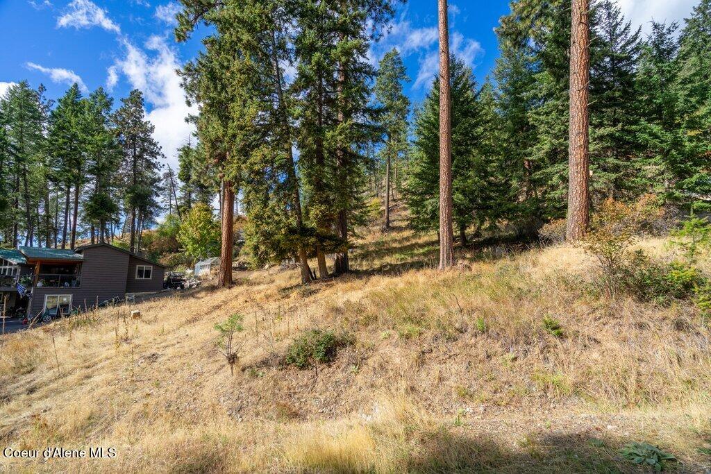 762 Glacier Loop Road Athol, ID 83801 - Photo 2 of 21 762 Glacier