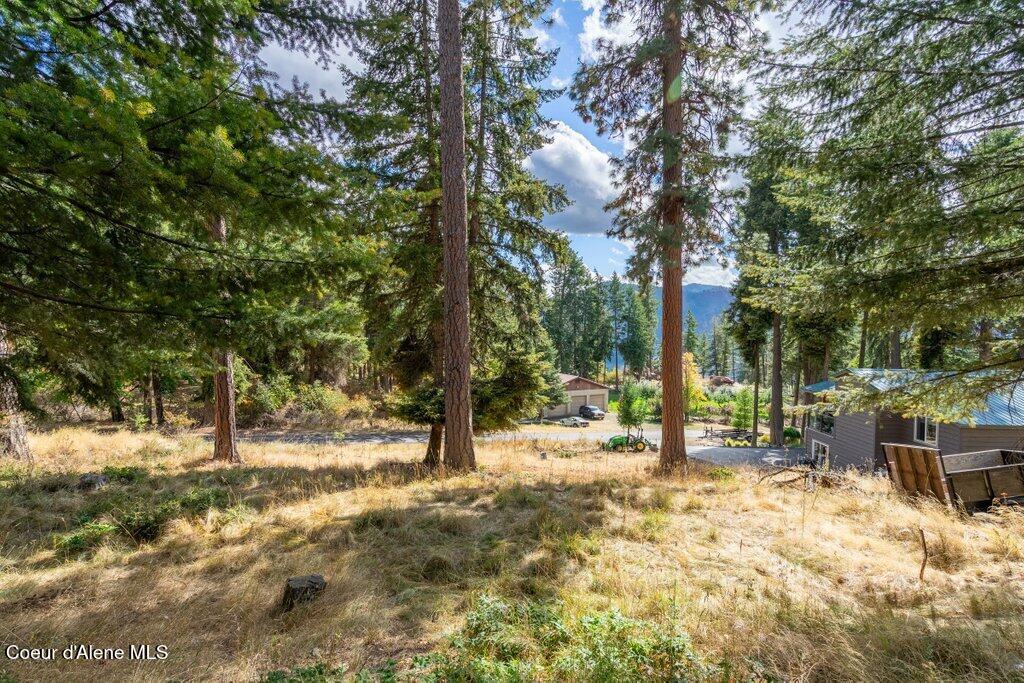 762 Glacier Loop Road Athol, ID 83801 - Photo 3 of 21 762 Glacier