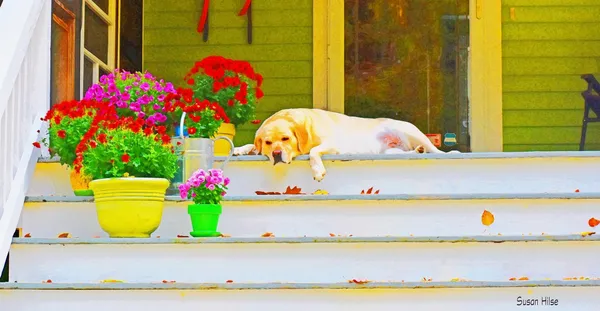 $699,000 | 20 Fenderson Road, Saco, ME 04072