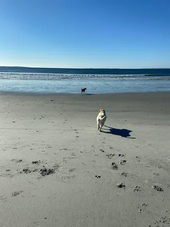 $699,000 | 20 Fenderson Road, Saco, ME 04072