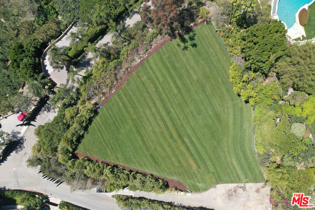 1001 Bel Air Road Los Angeles, CA 90077 - Photo 19 of 22 a plant with lots of trees