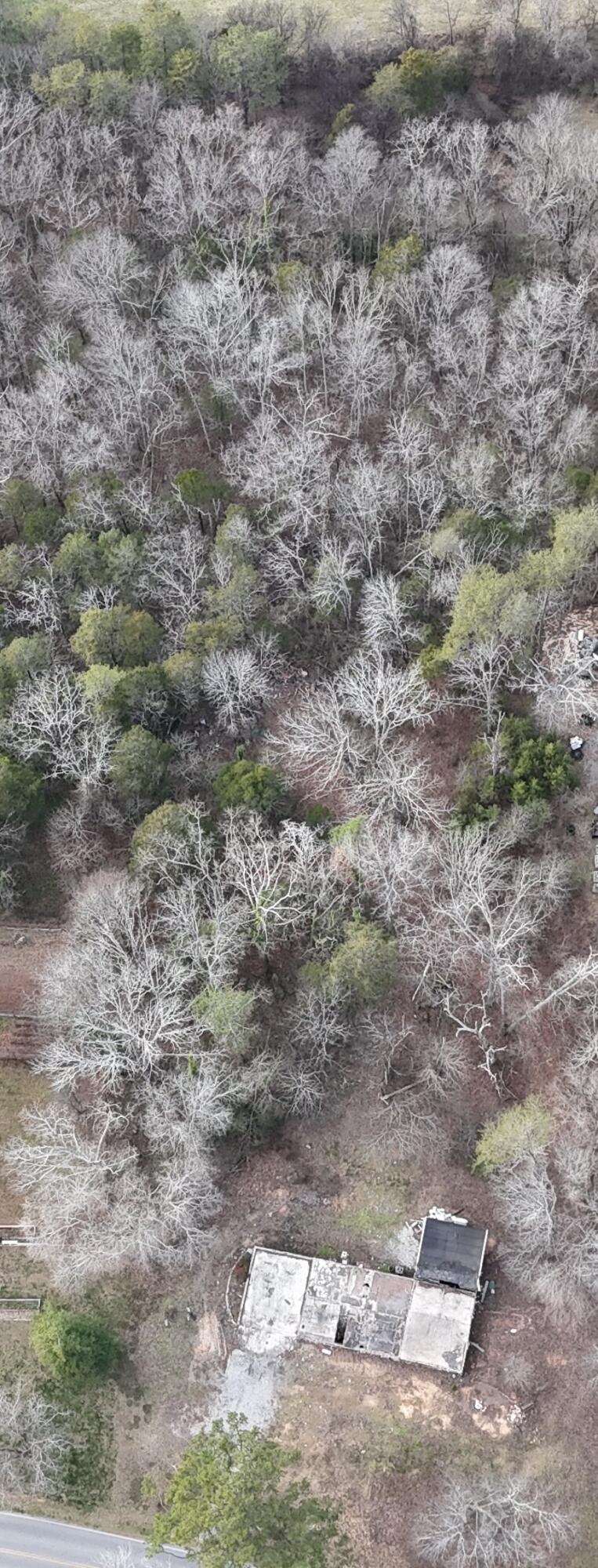 8937 Snow Hill Road Ooltewah, TN 37363 - Photo 12 of 13 dji_fly_20260119_161614_0150_17688576860