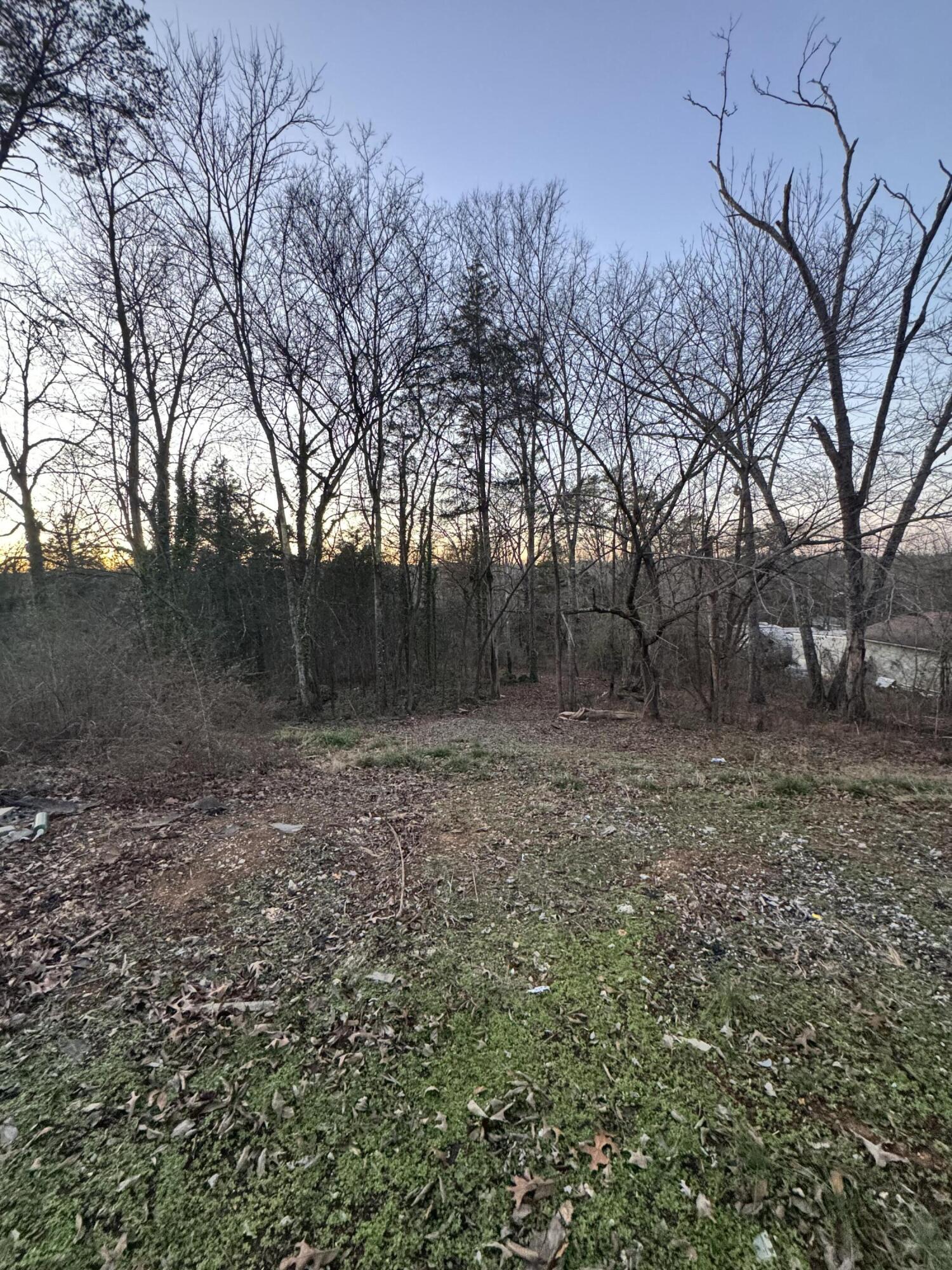 8937 Snow Hill Road Ooltewah, TN 37363 - Photo 6 of 13 IMG_1047