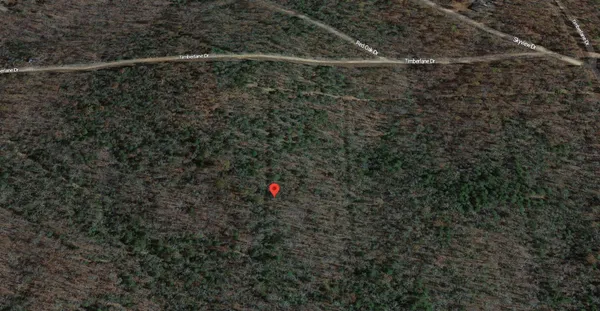 a close up of a dry yard