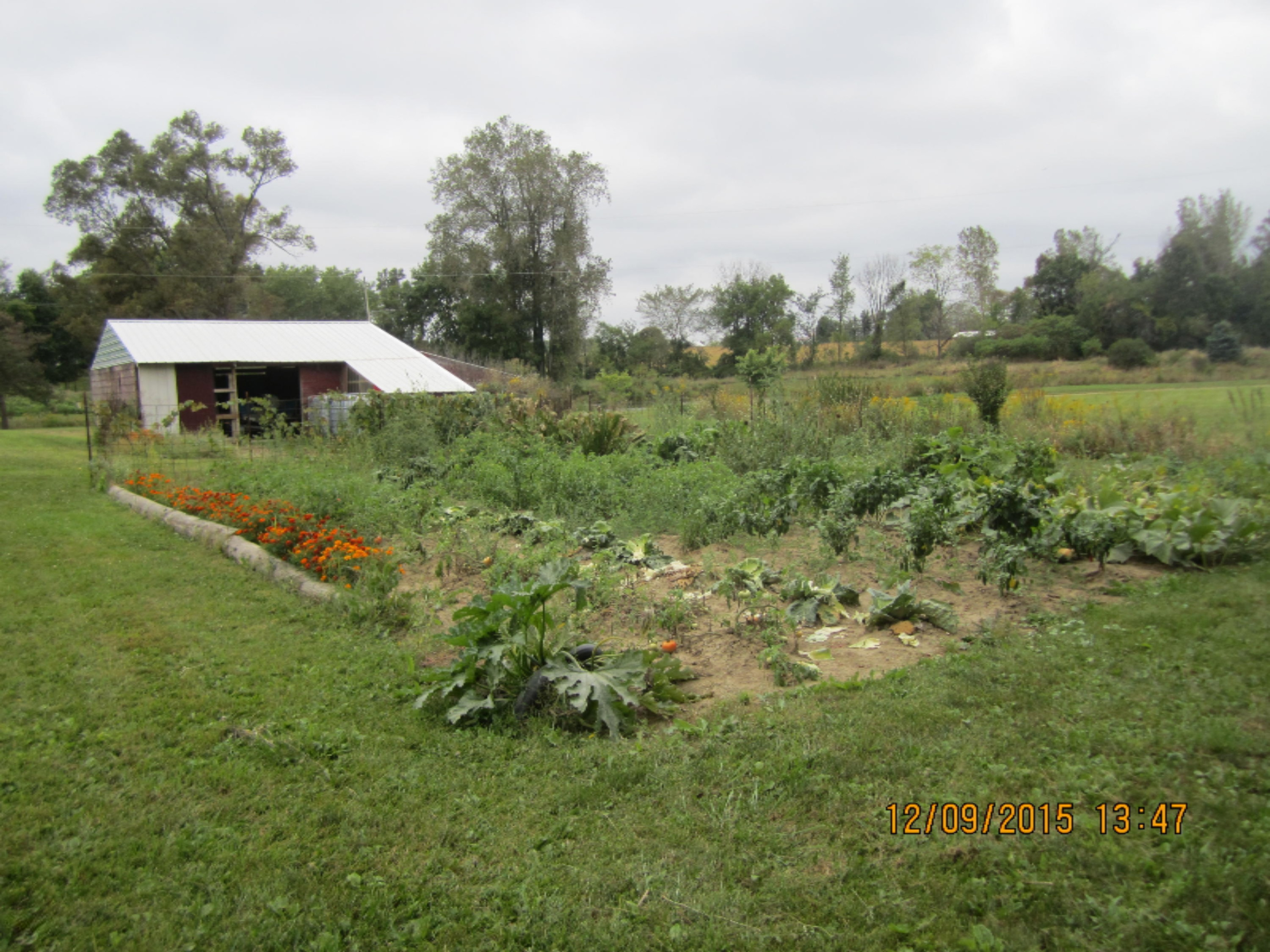 13851 Grass Lake Road Camden, MI 49232 - Photo 17 of 32 garden area vegetables
