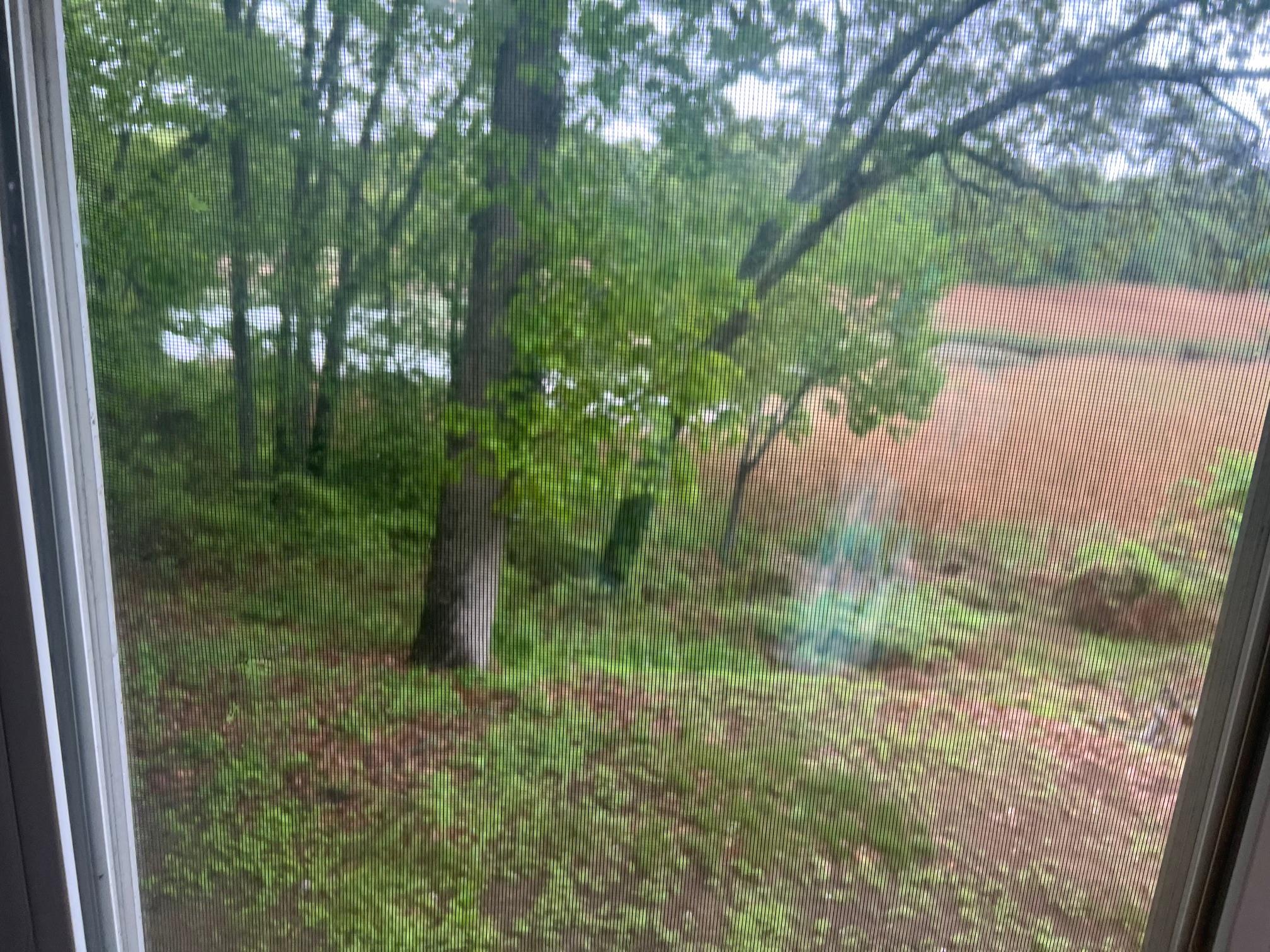 15 Old Field Road Setauket, NY 11733 - Photo 10 of 12 View of yard