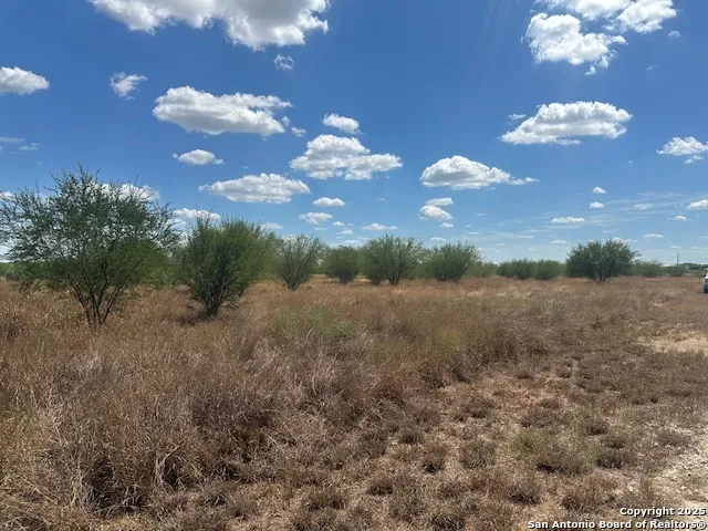 a view of a yard in middle of the house