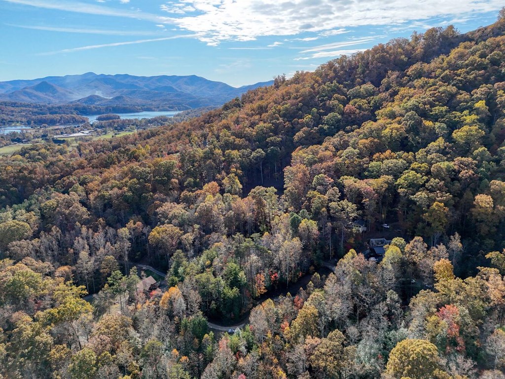 56 Bob Penland Road Hayesville, NC 28904 - Photo 12 of 14 a view of a city