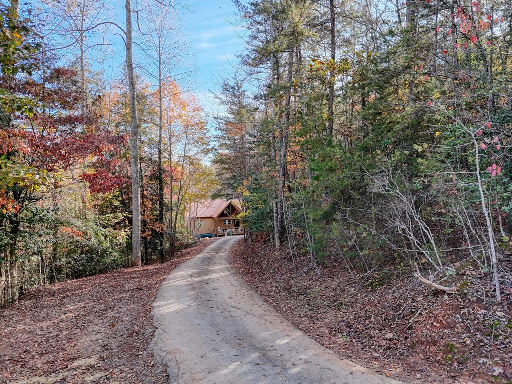 56 Bob Penland Road Hayesville, NC 28904 - Photo 2 of 14 a view of a forest with trees