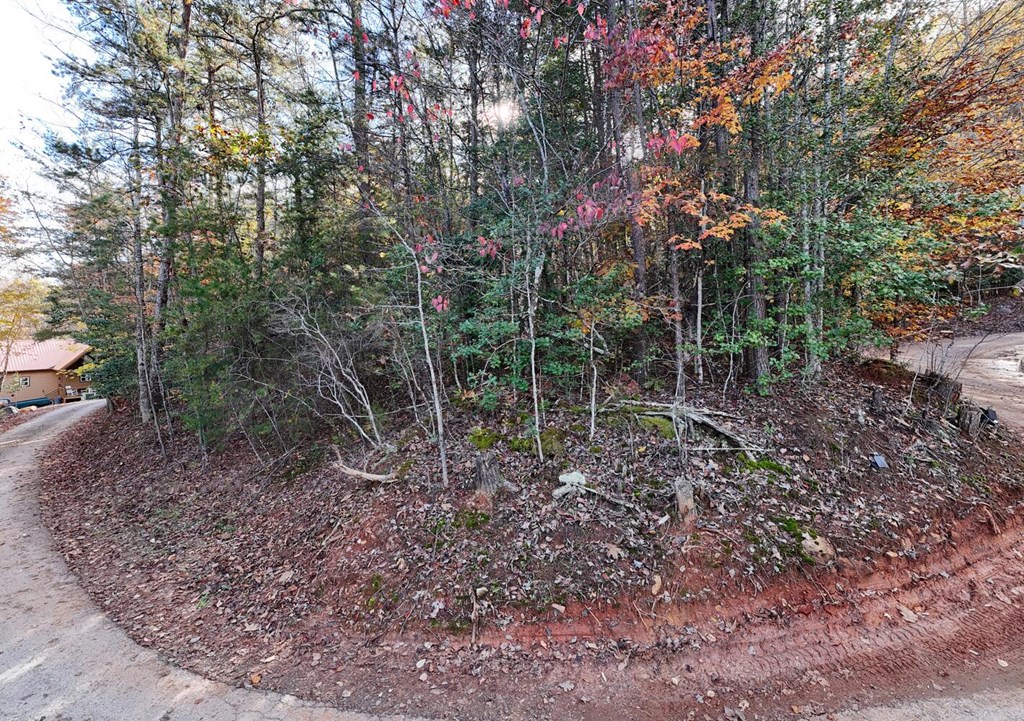 56 Bob Penland Road Hayesville, NC 28904 - Photo 4 of 14 a view of a forest with trees in back