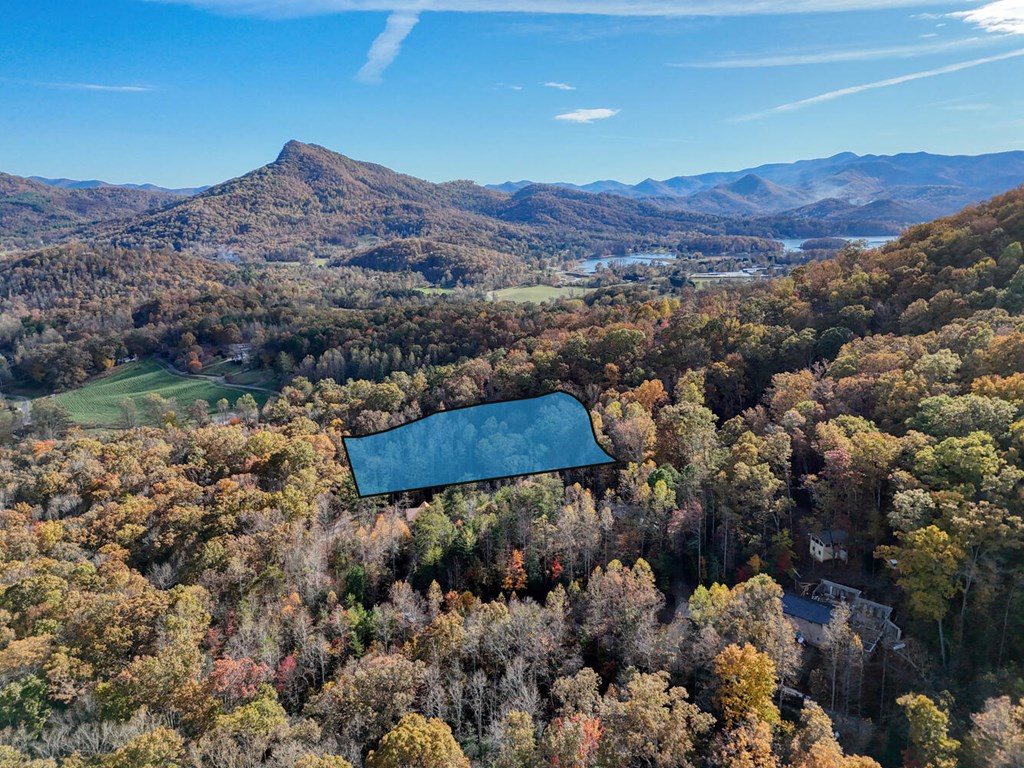 56 Bob Penland Road Hayesville, NC 28904 - Photo 5 of 14 a view of a city with mountains in the background