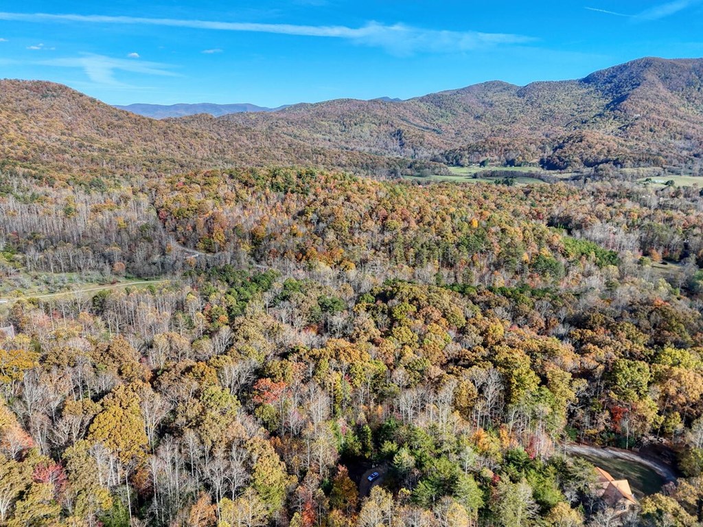 56 Bob Penland Road Hayesville, NC 28904 - Photo 7 of 14 a view of mountain and tree