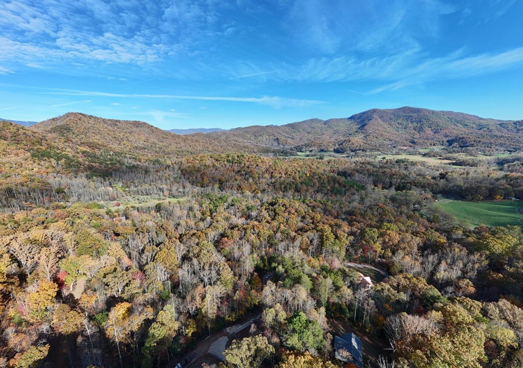 56 Bob Penland Road Hayesville, NC 28904 - Photo 8 of 14 a view of a mountain in the distance