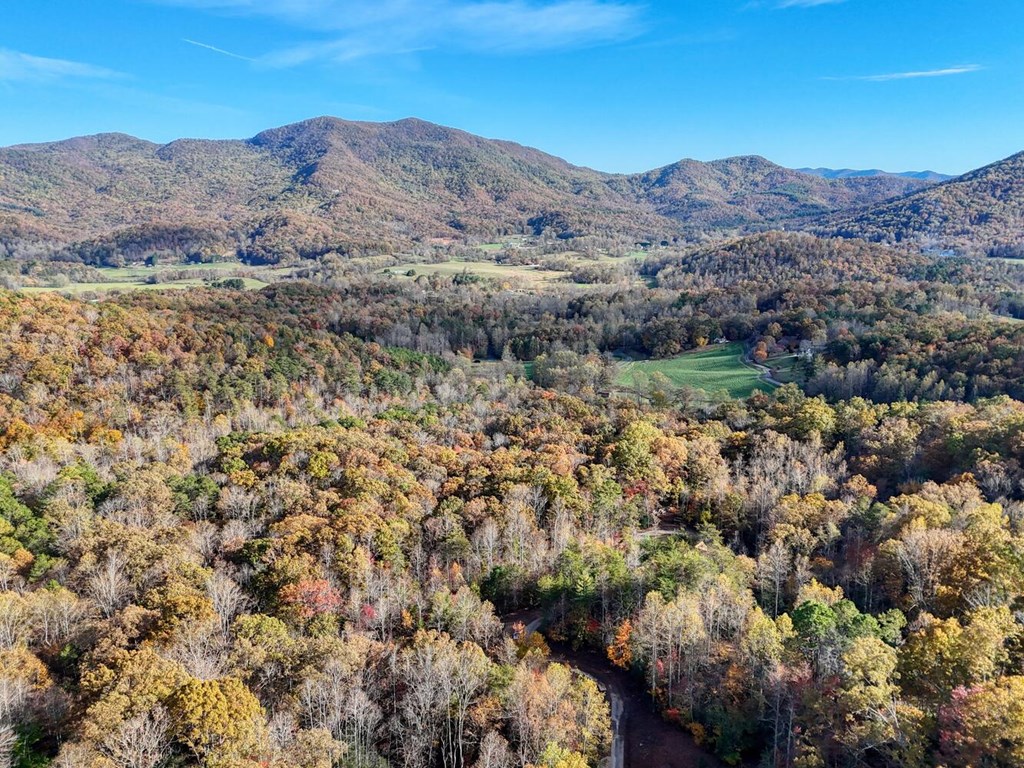 56 Bob Penland Road Hayesville, NC 28904 - Photo 9 of 14