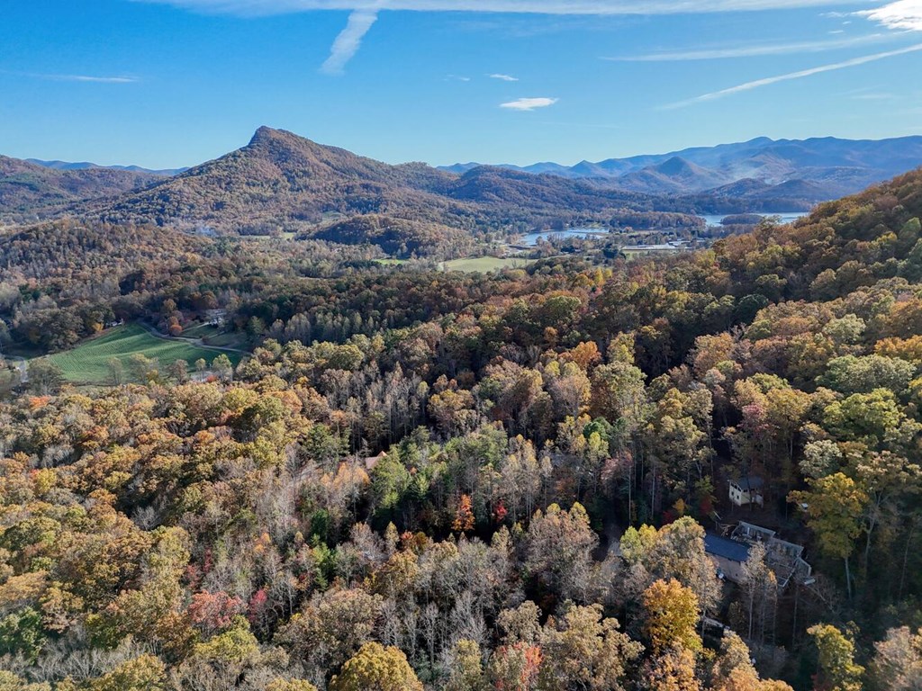 56 Bob Penland Road Hayesville, NC 28904 - Photo 10 of 14 an aerial view of residential house and sandy dunes