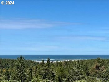 2801 Willows Road Seaview, WA 98644 - Photo 28 of 31 Gallery Image 28