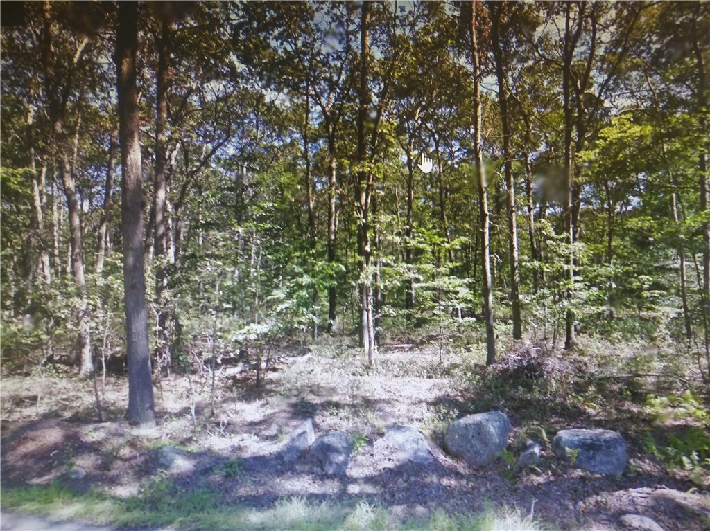 132 New Road Exeter, RI 02822 - Photo 2 of 3
