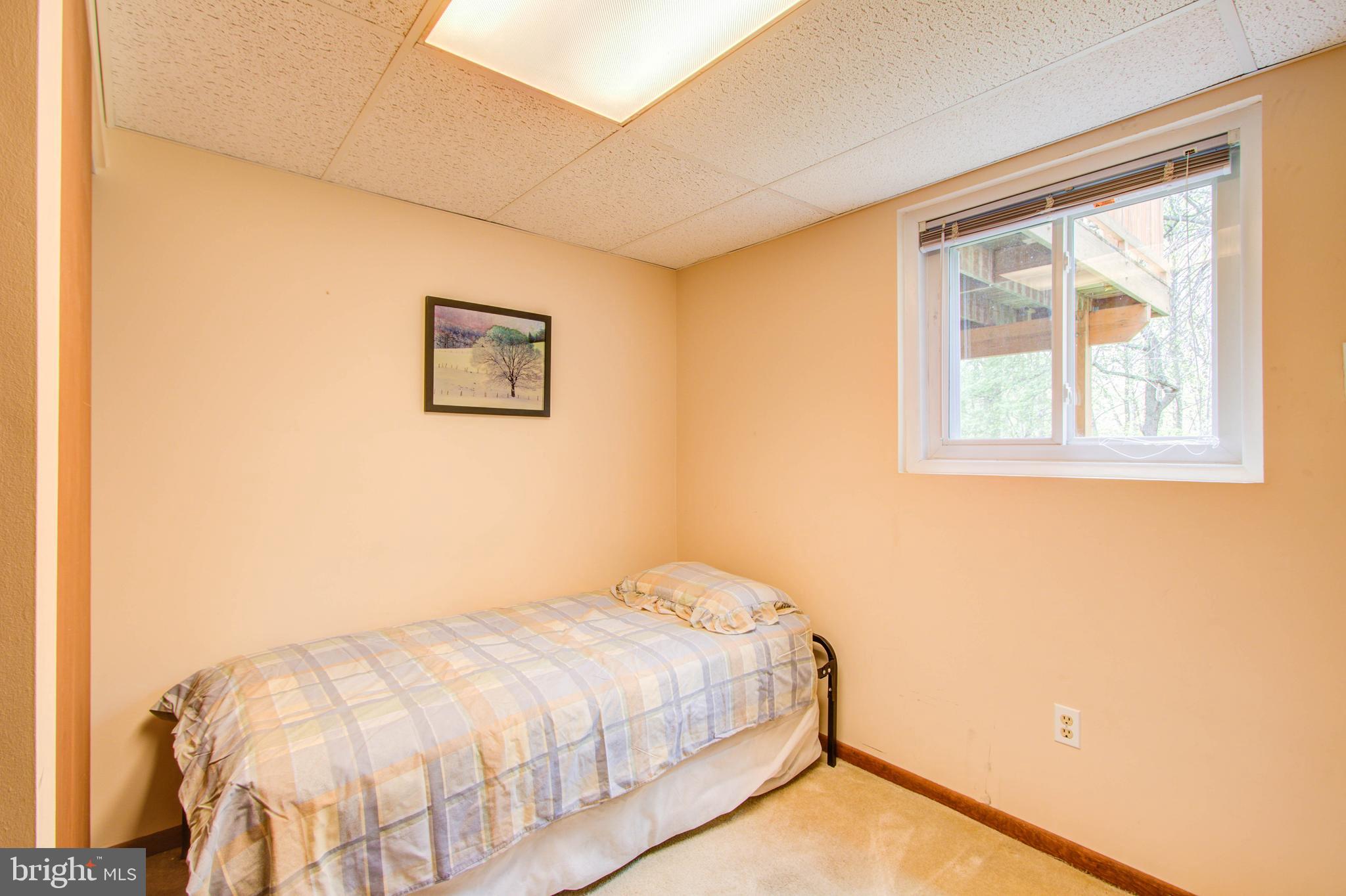 10604 Woodsdale Drive Silver Spring, MD 20901 - Photo 23 of 30 5th bedroom. 1 of 3 lower level bedrooms!