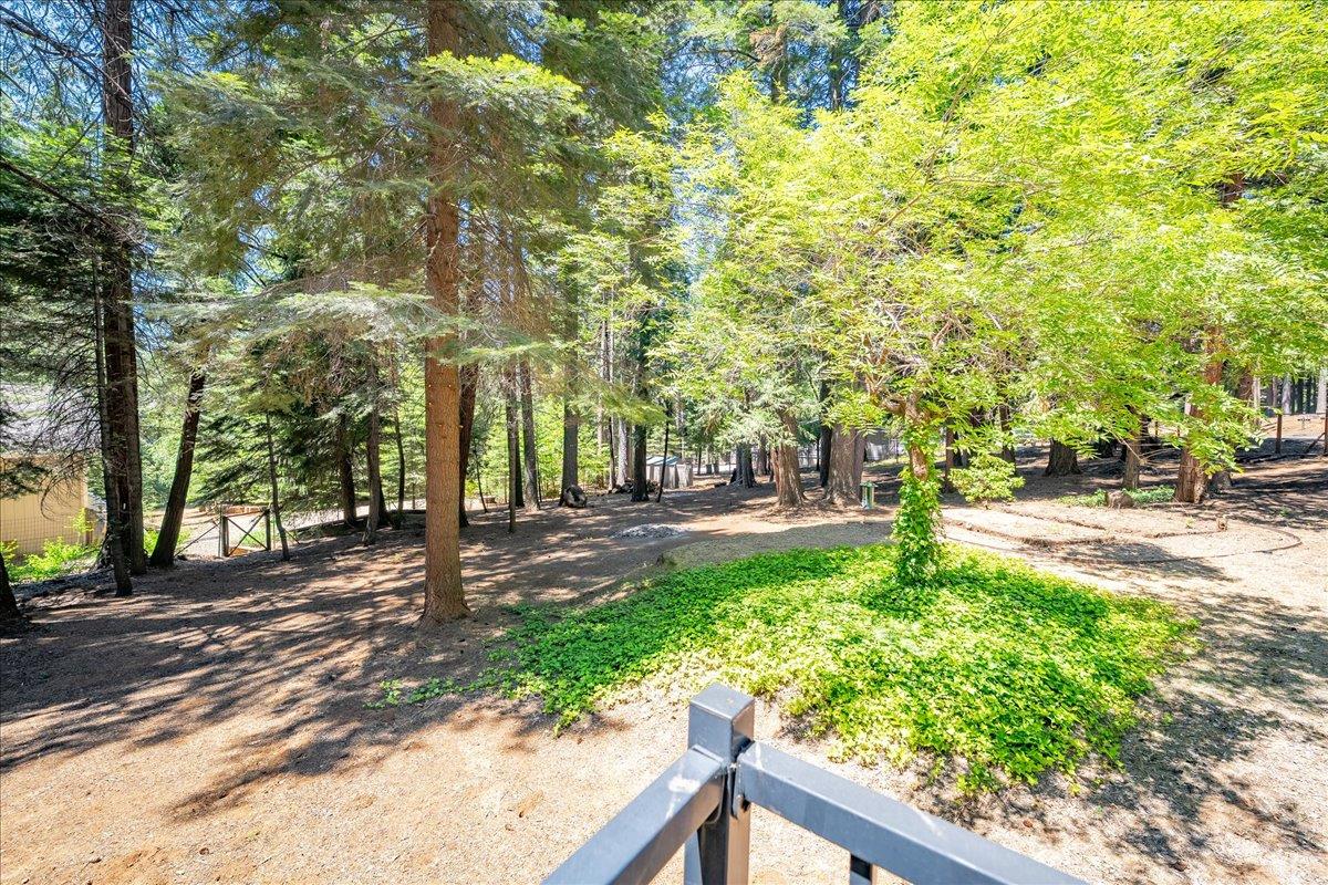 2226 Blair Road Pollock Pines, CA 95726 - Photo 39 of 58