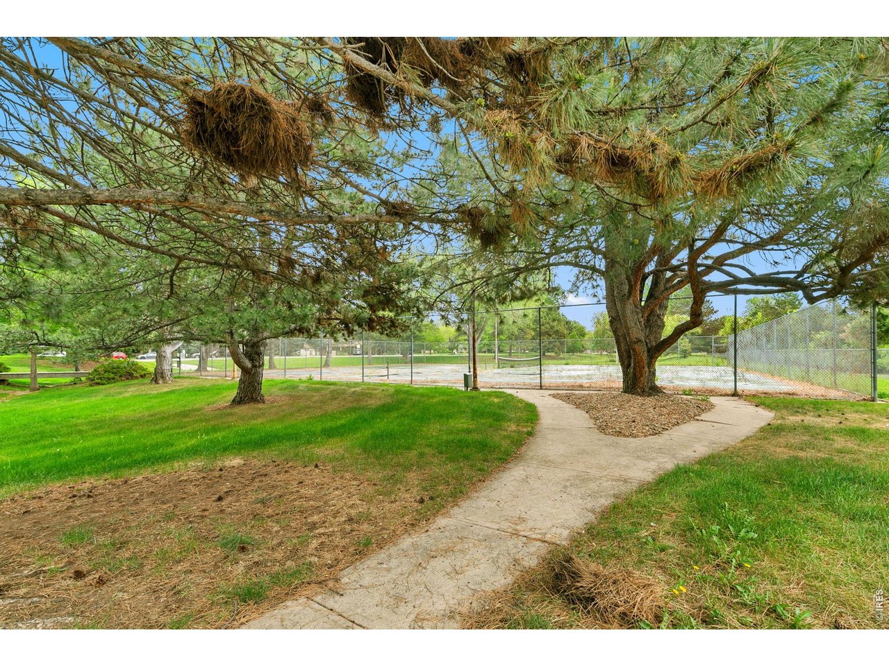 925 Columbia Road, Unit 824 Fort Collins, CO 80525 - Photo 27 of 36 a view of a yard with plants and trees
