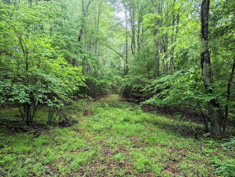 Tbd Deepwater Road Indian Valley, VA 24105 - Photo 16 of 30 Gallery Image 16