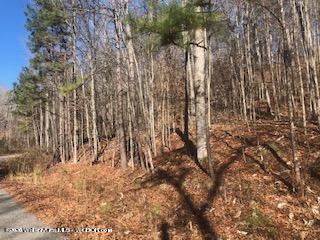0 Co Road Arley, AL 35541 - Photo 3 of 4 Gallery Image 3