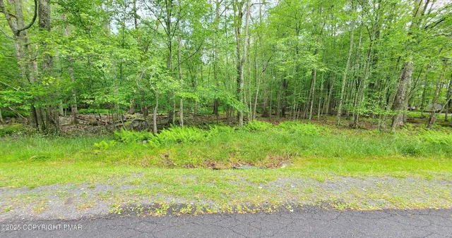 a view of outdoor space and yard