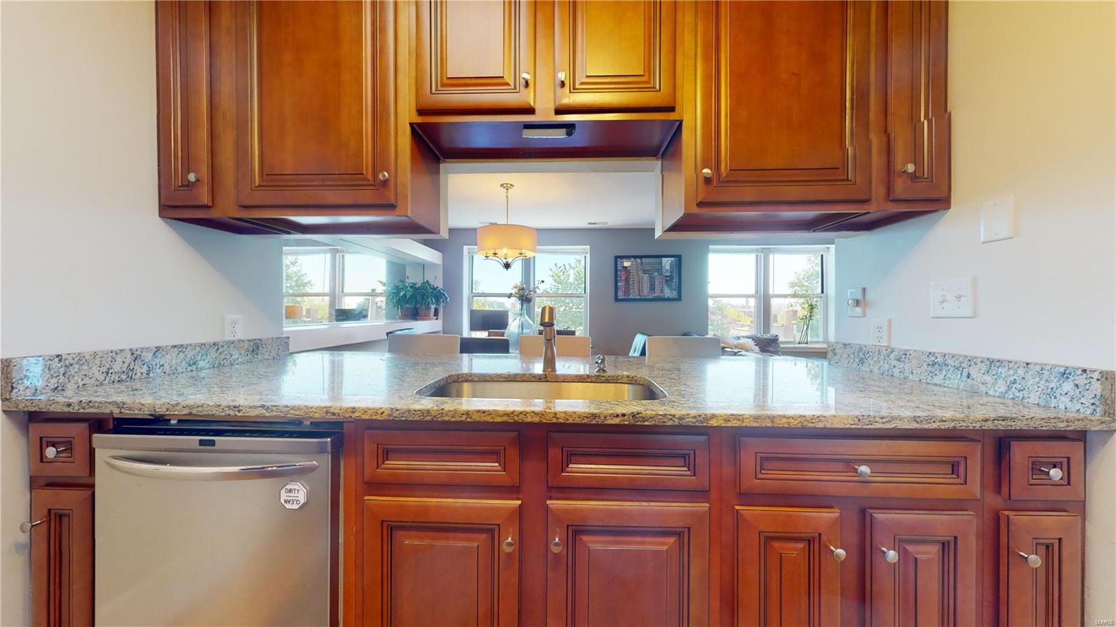 2310 Rutger Street, Unit 10F St. Louis, MO 63104 - Photo 18 of 57