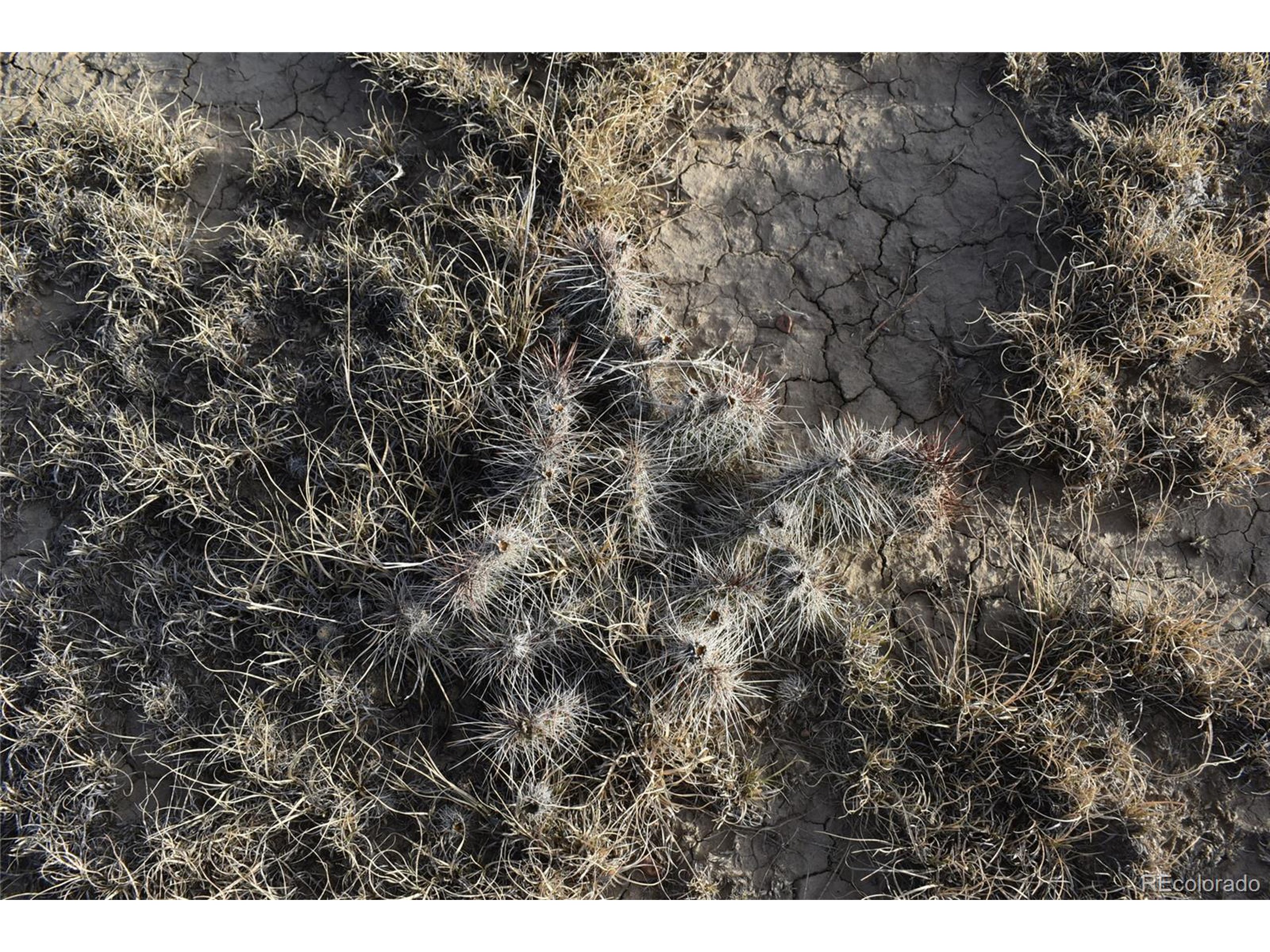 35 Bennett Road Rye, CO 81069 - Photo 21 of 25 a view of a field