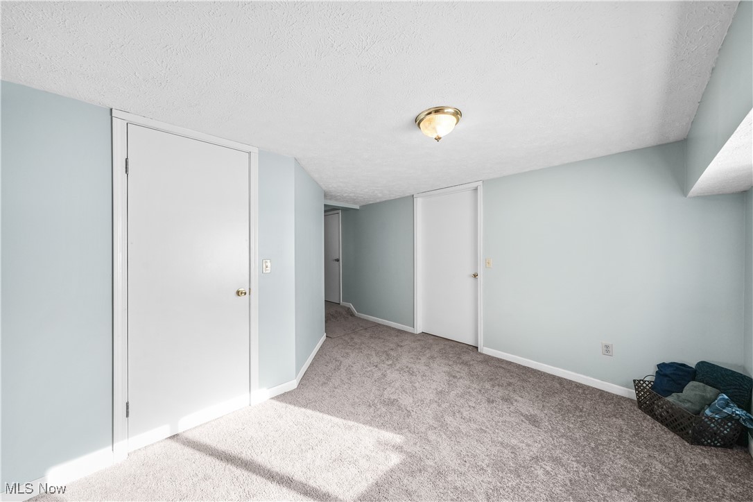 4947 Wayland Road Diamond, OH 44412 - Photo 20 of 43 Basement room with light carpet and a textured ceiling