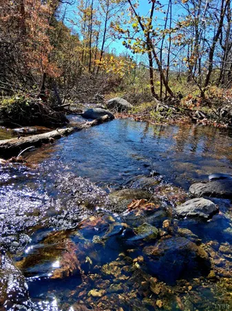 $734,900 | 0 North Fork, Amherst, VA 24521