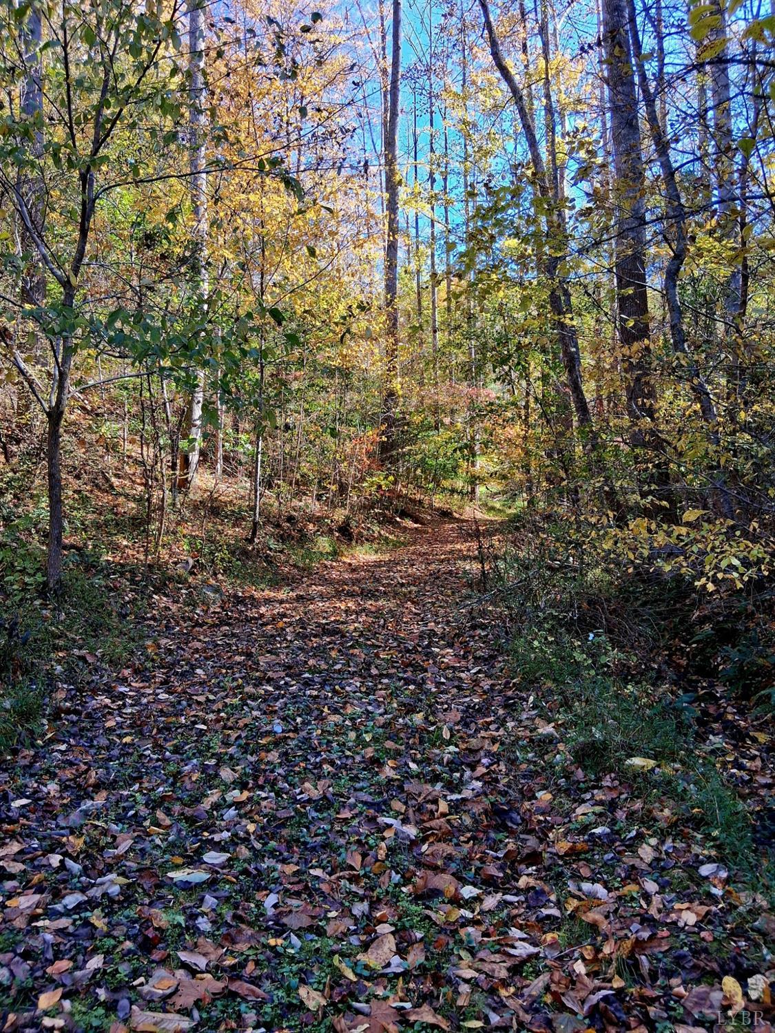 0 North Fork Amherst, VA 24521 - Photo 12 of 26