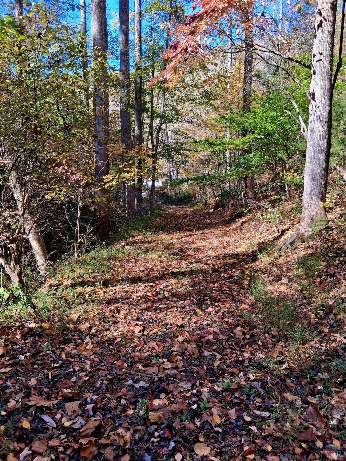 0 North Fork Amherst, VA 24521 - Photo 13 of 26
