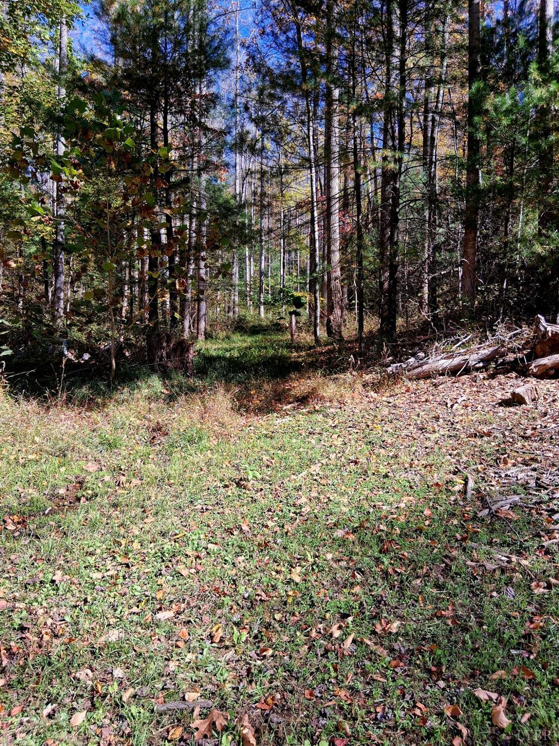 0 North Fork Amherst, VA 24521 - Photo 15 of 26