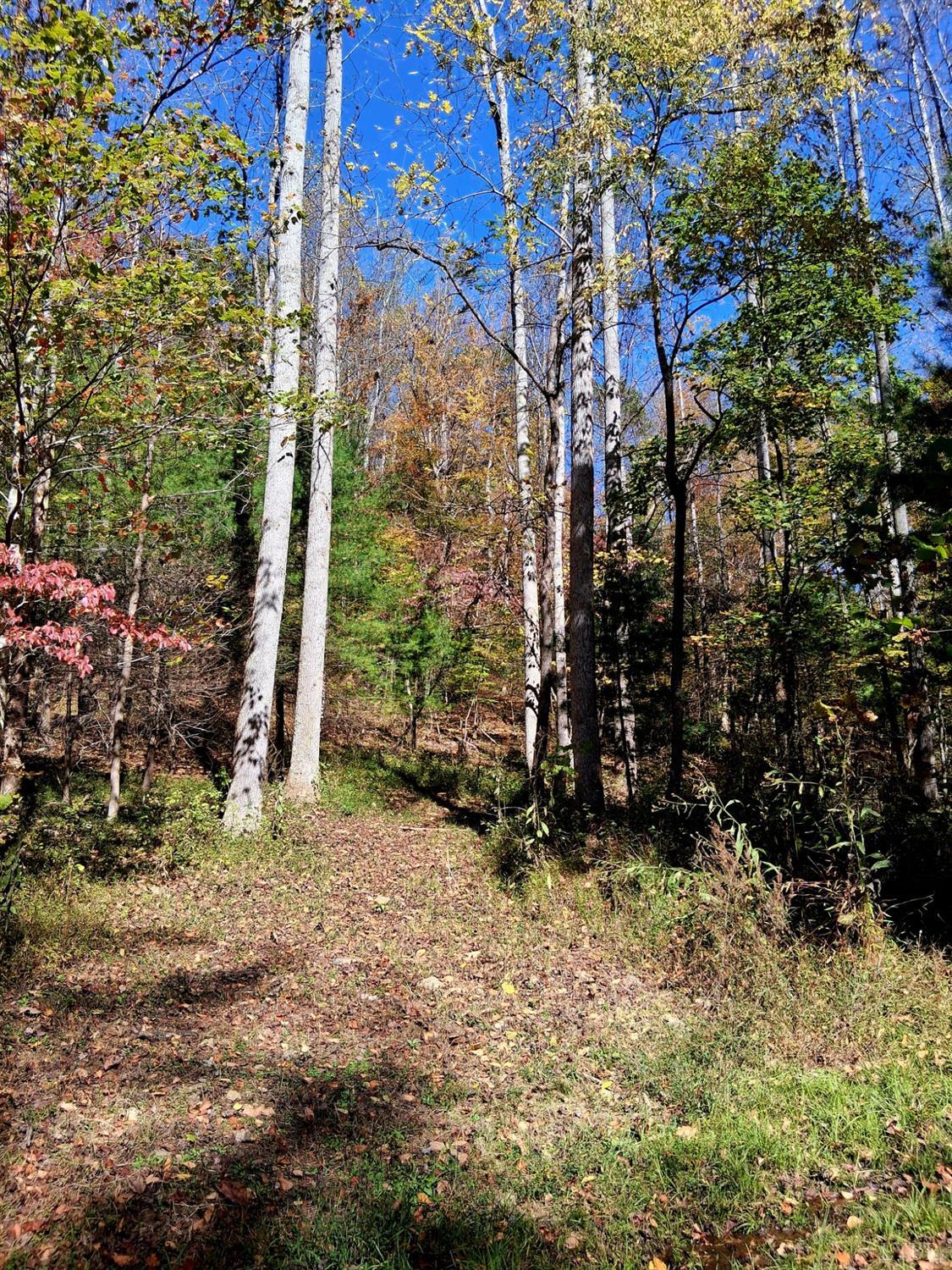 0 North Fork Amherst, VA 24521 - Photo 16 of 26