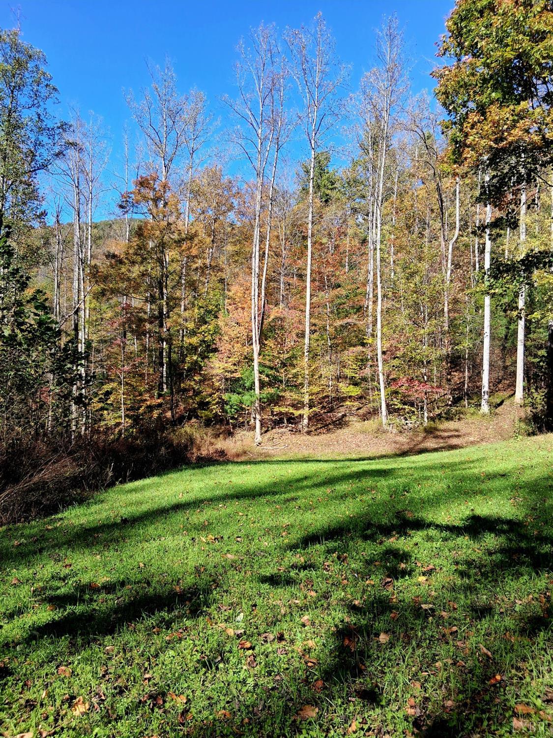 0 North Fork Amherst, VA 24521 - Photo 20 of 26