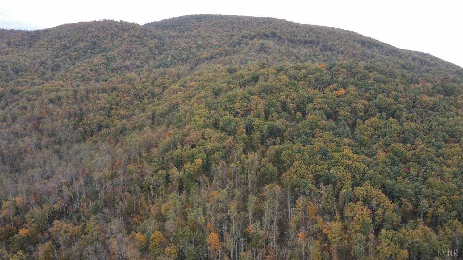 0 North Fork Amherst, VA 24521 - Photo 21 of 26